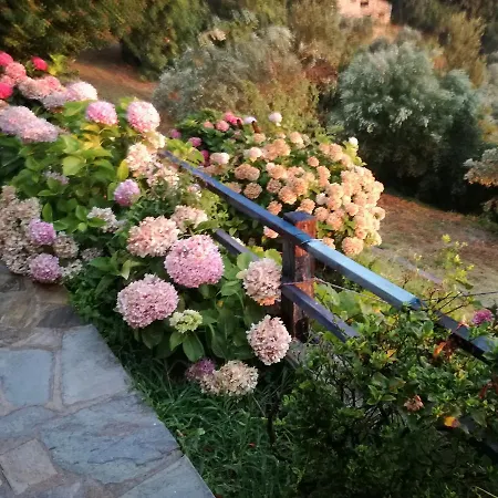 Analipsi Sea View בית נופש *